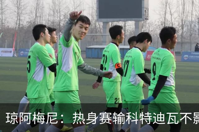 琼阿梅尼：热身赛输科特迪瓦不影响法国，可以说是一次小小的提醒
